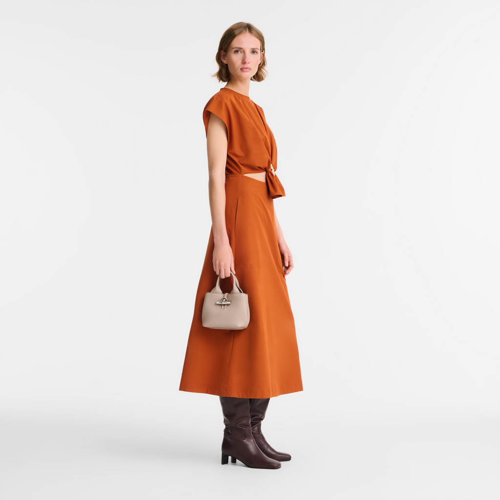 Longchamp Le Roseau XS Handbag - Clay